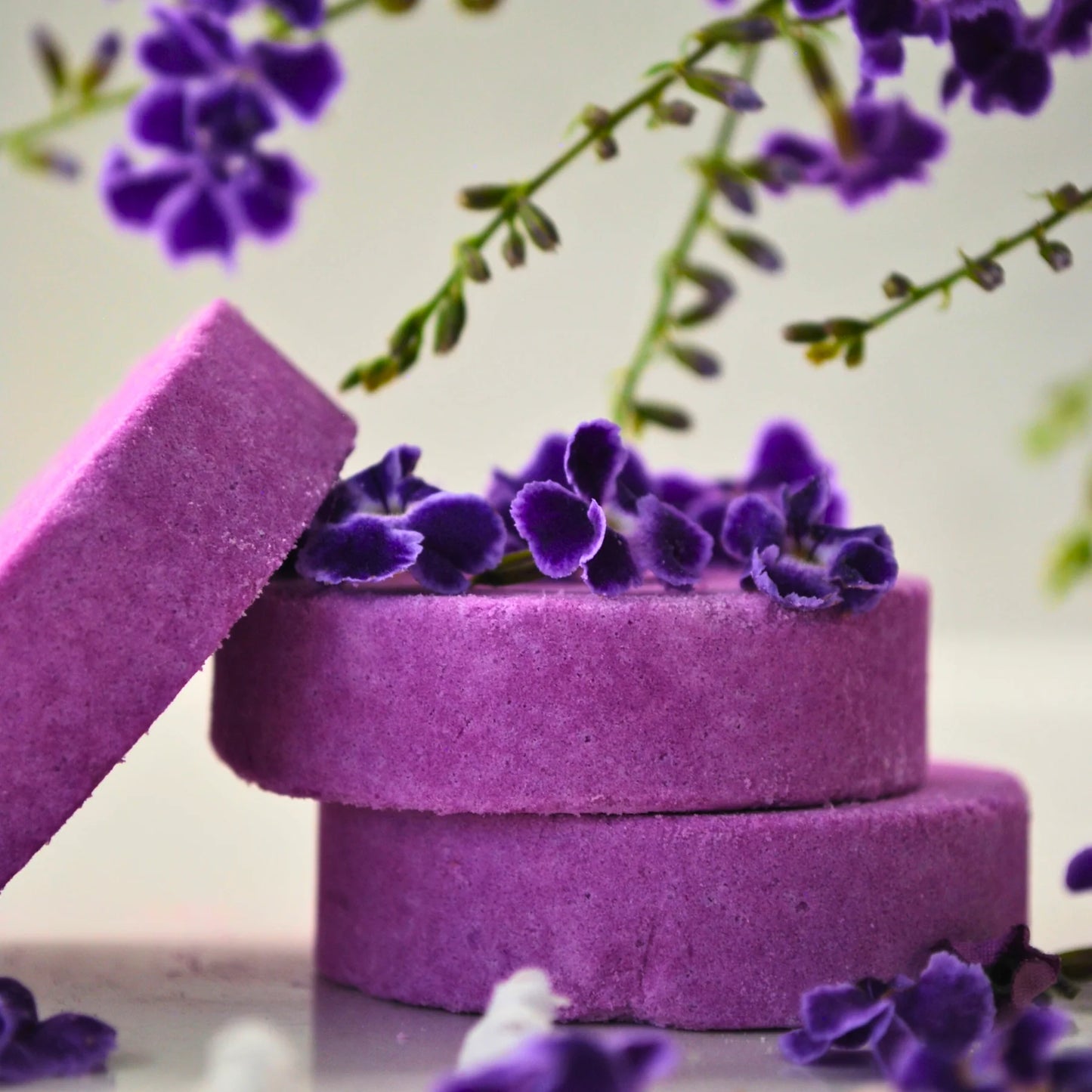 Veilee Discovery Set