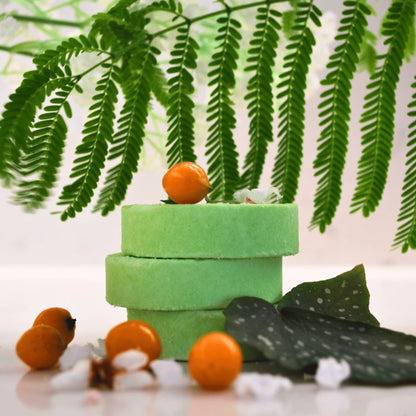 Veilee Discovery Set